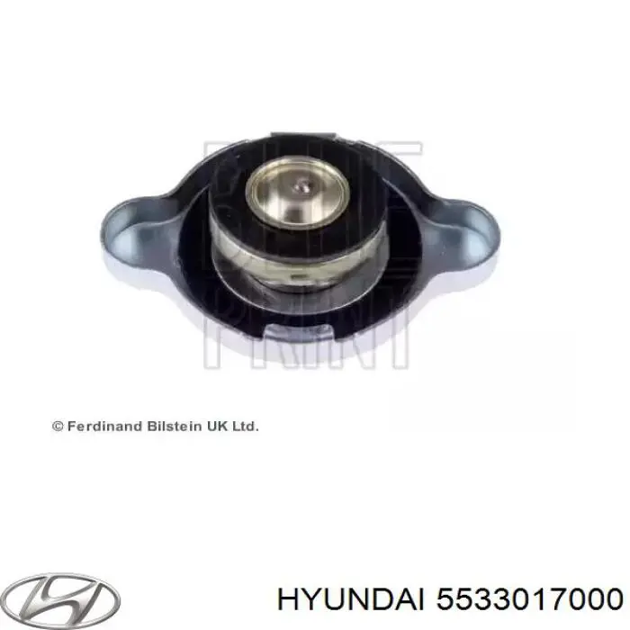 Do koszyka 5533017000 Hyundai/Kia Sprężyna tylna