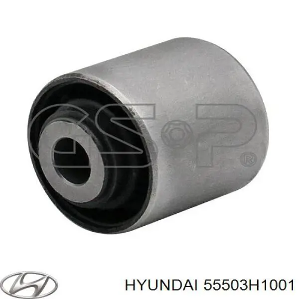 Drążek podłużny zawieszenia tylnego Hyundai/Kia 55503H1001 cena, od 61,25 USD