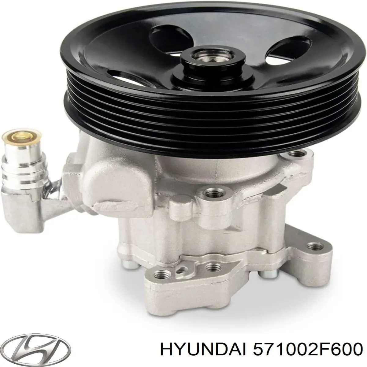 Do koszyka 571002F600 Hyundai/Kia Pompa wspomagania hydraulicznego kierownicy