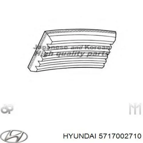 Do koszyka 5717002710 Hyundai/Kia Pas napędowy mechanizmów