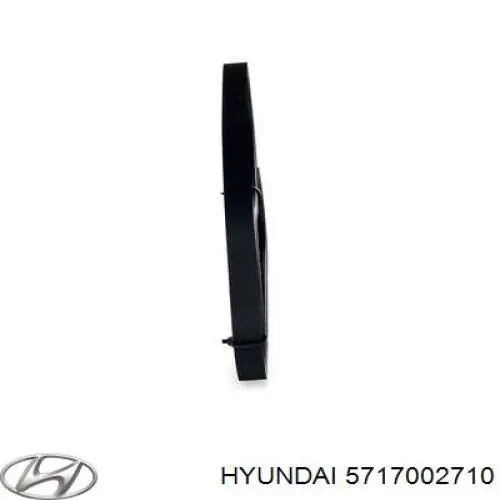 Do koszyka 5717002710 Hyundai/Kia Pas napędowy mechanizmów