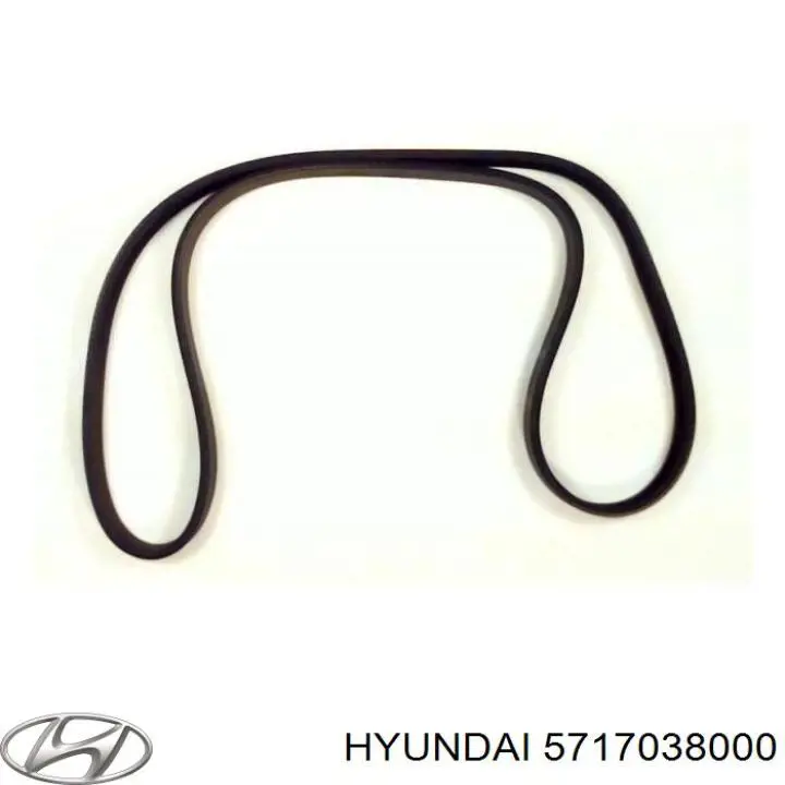 Do koszyka 5717038000 Hyundai/Kia Pas napędowy mechanizmów