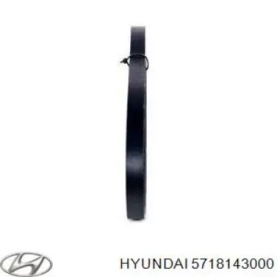 Pas napędowy mechanizmów 5718143000 Hyundai/Kia