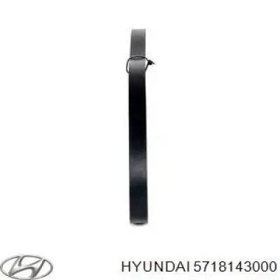 Pas napędowy mechanizmów 5718143000 Hyundai/Kia