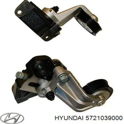 Do koszyka 5721039000 Hyundai/Kia Rolka napinacza paska napędowego