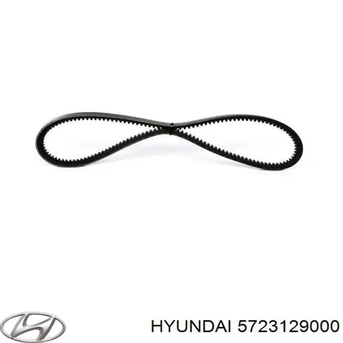 Do koszyka 5723129000 Hyundai/Kia Pas napędowy mechanizmów