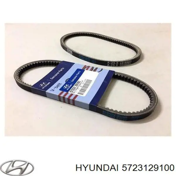 5723129100 Hyundai/Kia Pas napędowy mechanizmów