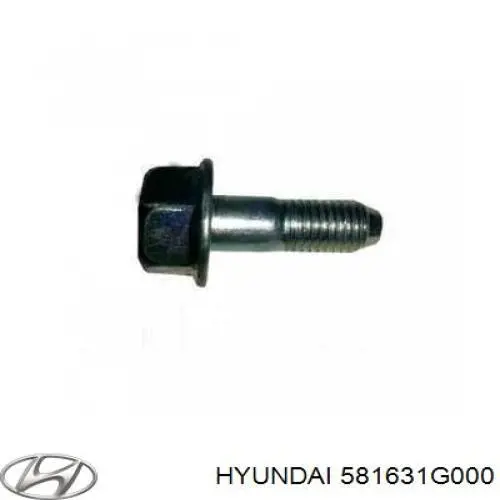 581631G000 Hyundai/Kia Zestaw naprawczy zacisku hamulcowego przedniego