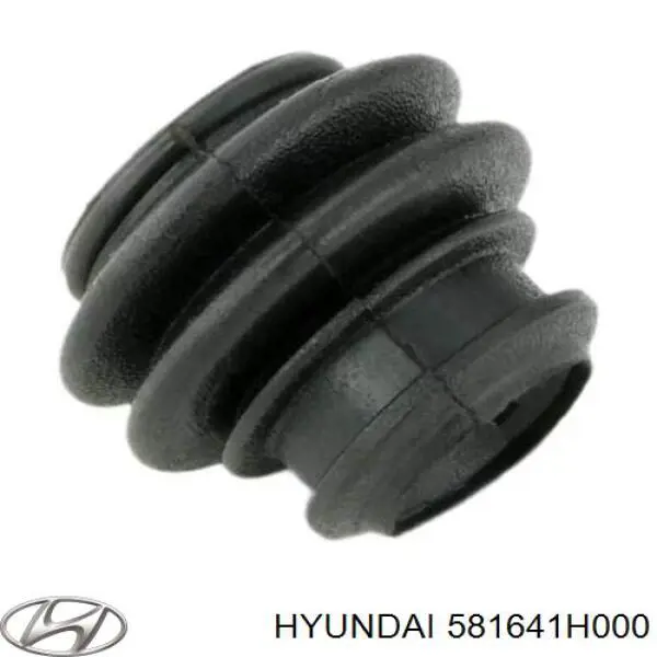Osłona prowadnicy zacisku hamulcowego przedniego Hyundai/Kia 581641H000 cena, od 4,31 USD