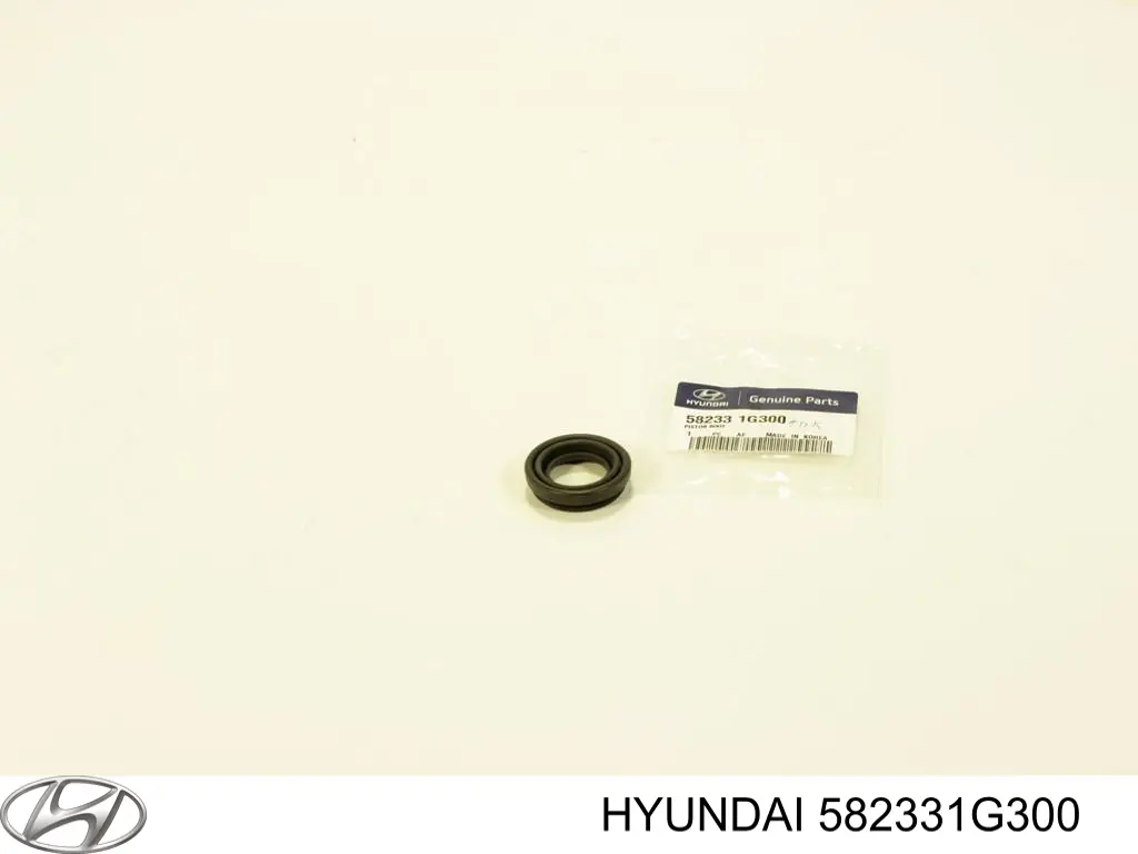 582331G300 Hyundai/Kia Zestaw naprawczy zacisku hamulcowego tylnego