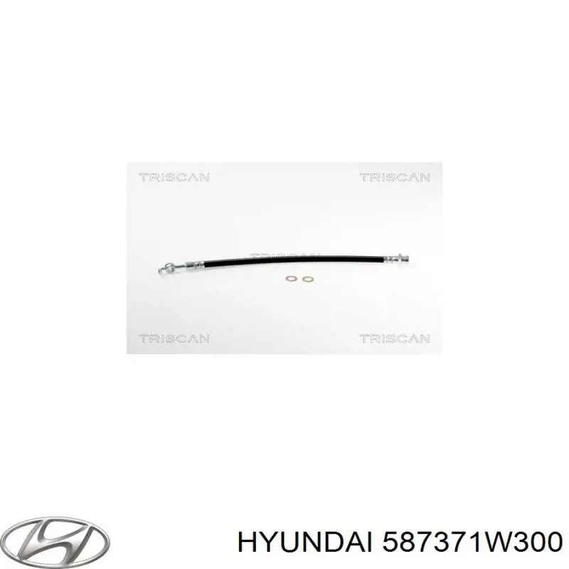 Przewód hamulcowy tylny Hyundai/Kia 587371W300 cena, od 10,69 USD