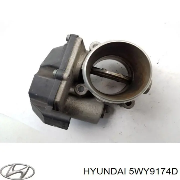 5WY9174D Hyundai/Kia Przepustnica, komplet