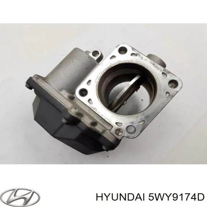 Przepustnica, komplet Hyundai/Kia 5WY9174D cena, od 141,40 USD