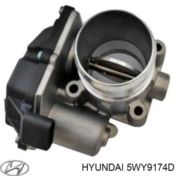 Do koszyka 5WY9174D Hyundai/Kia Przepustnica, komplet