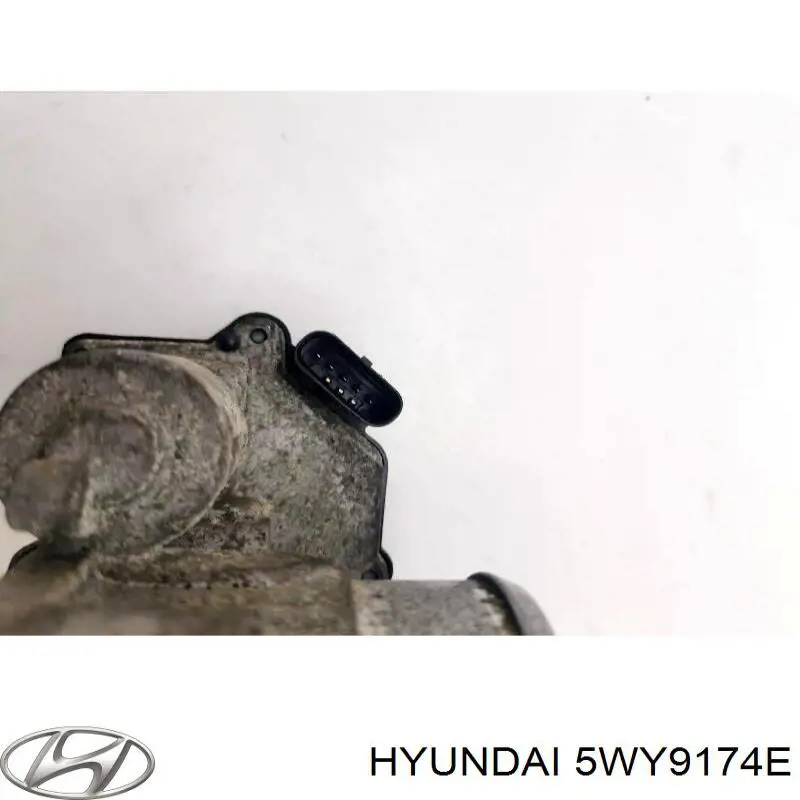 Do koszyka 5WY9174E Hyundai/Kia Przepustnica, komplet