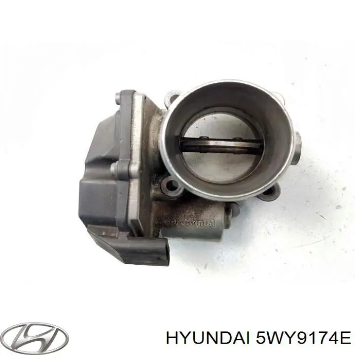 5WY9174E Hyundai/Kia Przepustnica, komplet