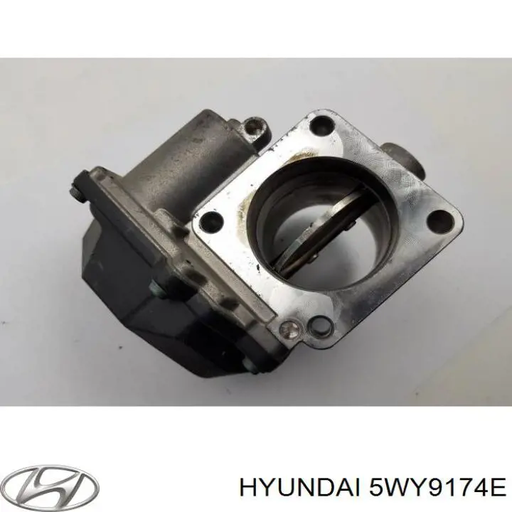 Przepustnica, komplet Hyundai/Kia 5WY9174E cena, od 137,91 USD