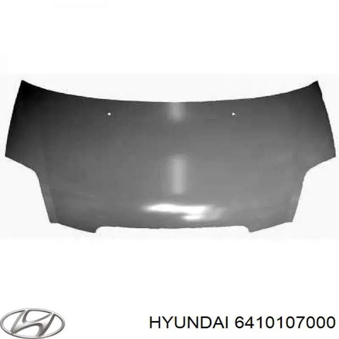 Osłona chłodnicy kompletna (panel mocowania reflektorów) Hyundai/Kia 6410107000 cena, od 128,06 USD