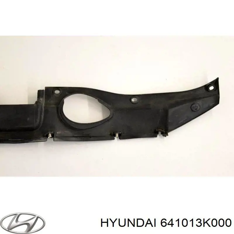 Osłona chłodnicy kompletna (panel mocowania reflektorów) Hyundai/Kia 641013K000 cena, od 88,35 USD