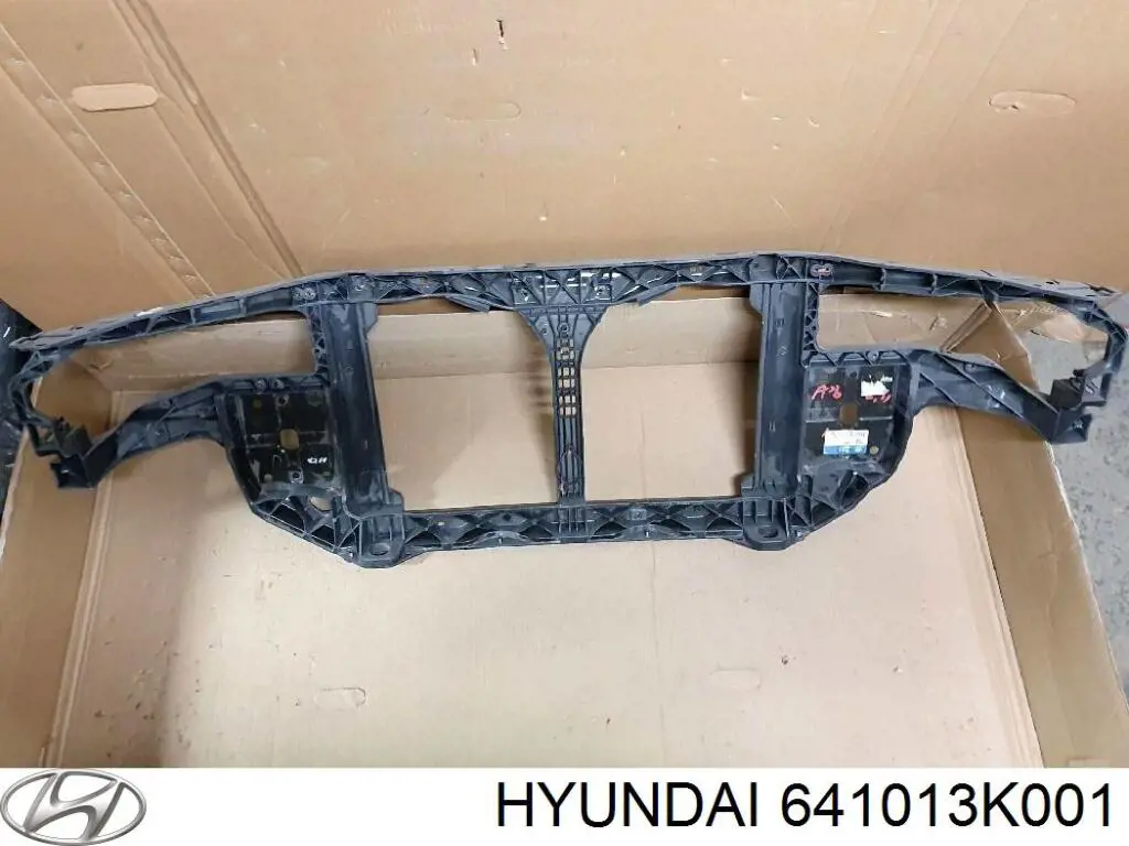 Osłona chłodnicy kompletna (panel mocowania reflektorów) Hyundai/Kia 641013K001 cena, od 88,35 USD