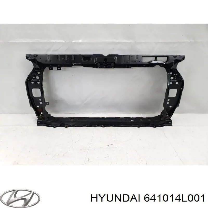  Hyundai/Kia 641014L001