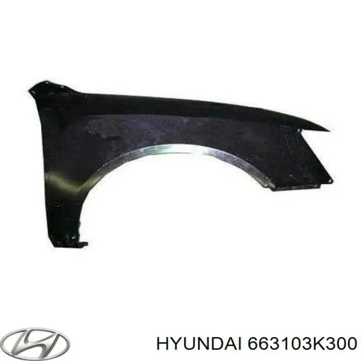 Błotnik przedni lewy Hyundai/Kia 663103K300 cena, od 323,86 USD