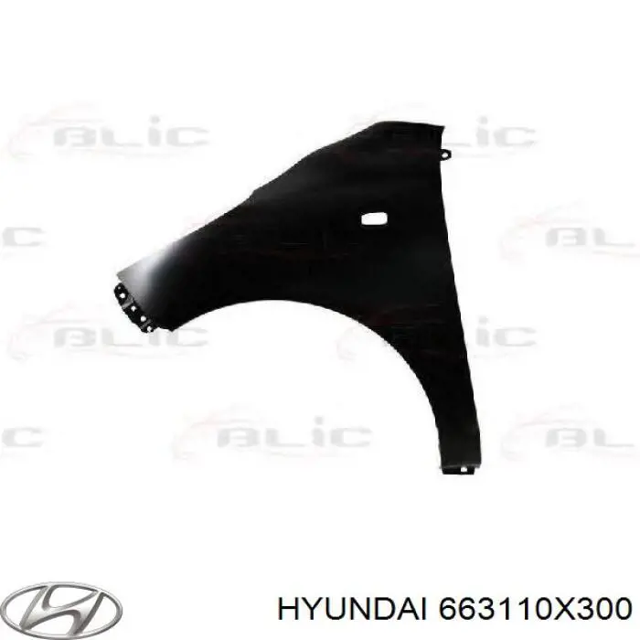 Błotnik przedni lewy Hyundai I10 hatchback (PA) (2007 - 2010) cena, od 54,65 USD