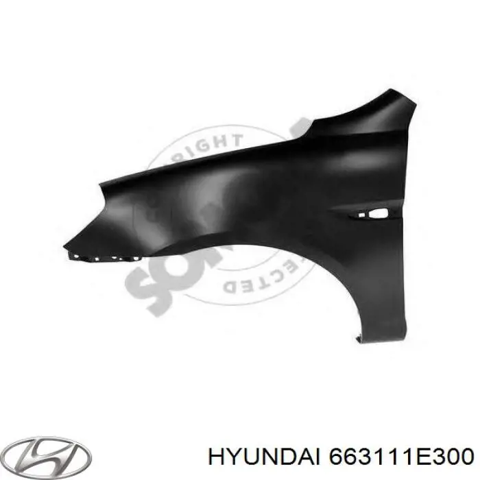 Błotnik przedni lewy Hyundai/Kia 663111E300 cena, od 114,07 USD