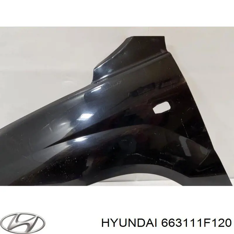 Do koszyka 663111F120 Hyundai/Kia Błotnik przedni lewy