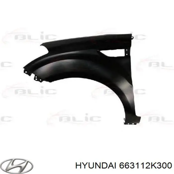 Błotnik przedni lewy Hyundai/Kia 663112K300 cena, od 64,47 USD