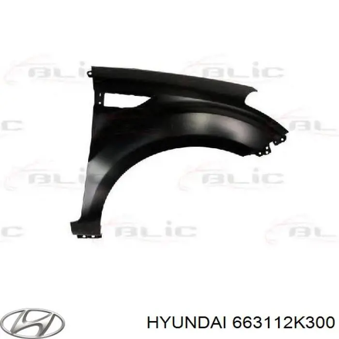 Do koszyka 663112K300 Hyundai/Kia Błotnik przedni lewy