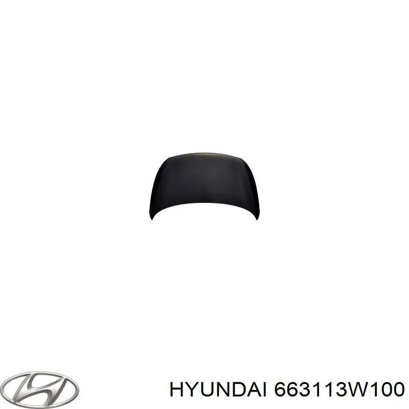 663113W100 Hyundai/Kia Błotnik przedni lewy