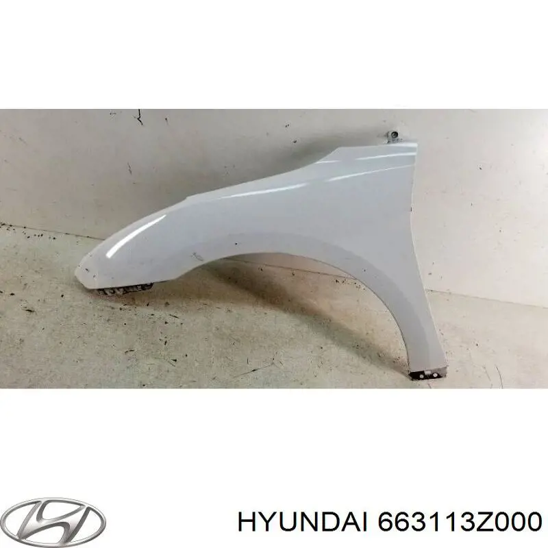 663113Z000 Hyundai/Kia Błotnik przedni lewy