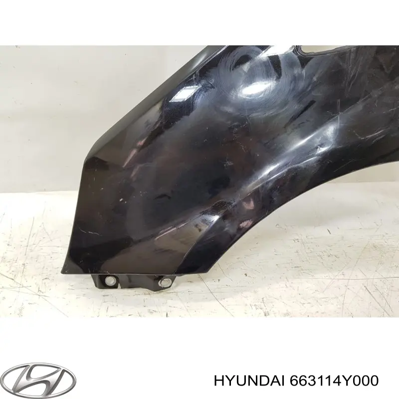 Do koszyka 663114Y000 Hyundai/Kia Błotnik przedni lewy