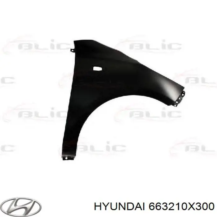 Błotnik przedni prawy Hyundai/Kia 663210X300 cena, od 62,45 USD
