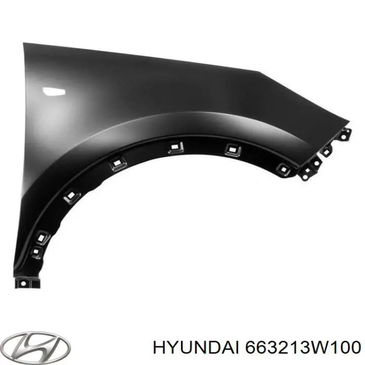 663213W100 Hyundai/Kia Błotnik przedni prawy
