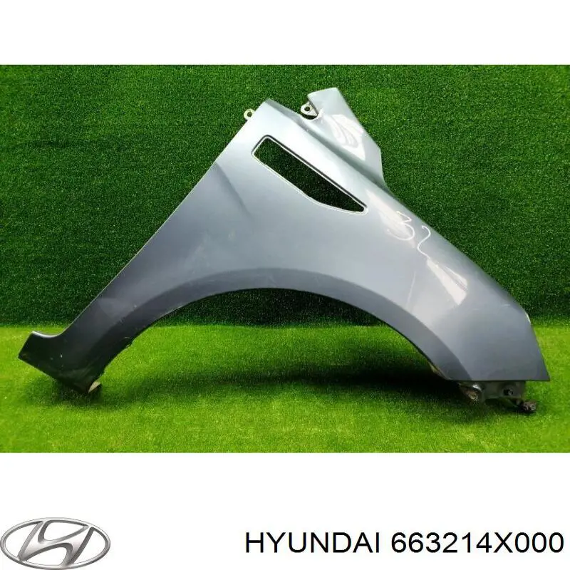 663214X000 Hyundai/Kia Błotnik przedni prawy