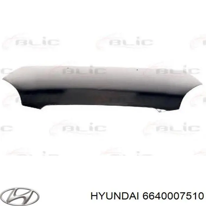 Maska silnika Hyundai/Kia 6640007510 cena, od 123,17 USD