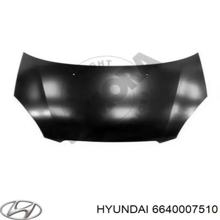 Do koszyka 6640007510 Hyundai/Kia Maska silnika