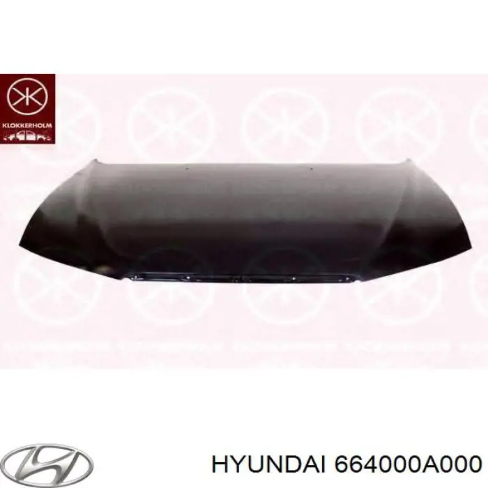 Maska silnika Hyundai Sonata V sedana (NF) (2007 - 2010) cena, od 316,23 USD