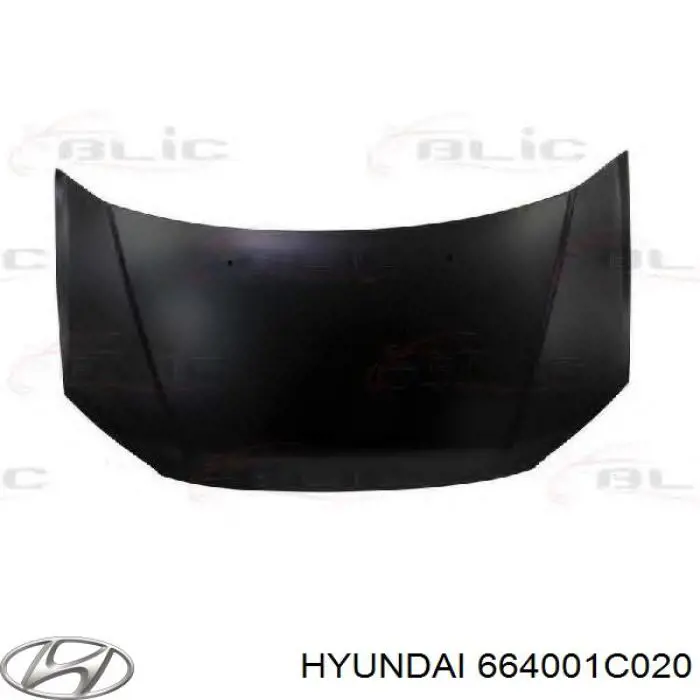 664001C020 Hyundai/Kia Maska silnika