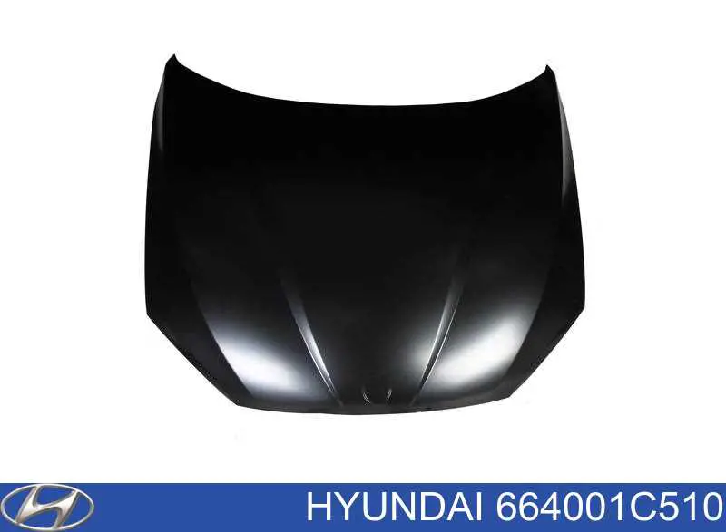 664001C510 Hyundai/Kia Maska silnika
