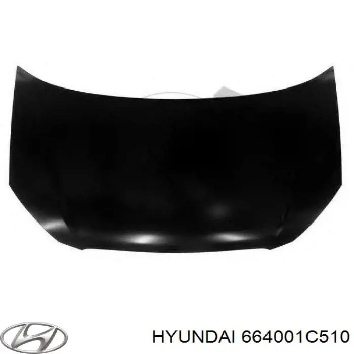 Maska silnika Hyundai/Kia 664001C510 cena, od 280,70 USD