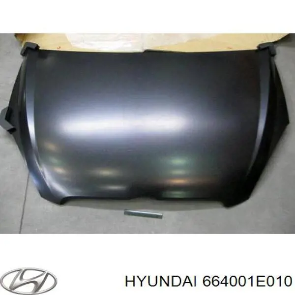 Do koszyka 664001E010 Hyundai/Kia Maska silnika