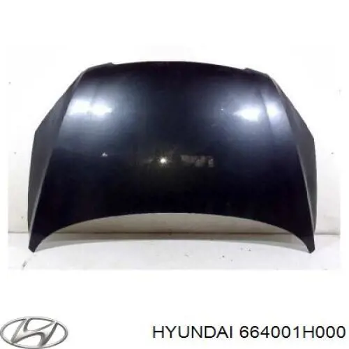 Maska silnika Hyundai/Kia 664001H000 cena, od 213,54 USD