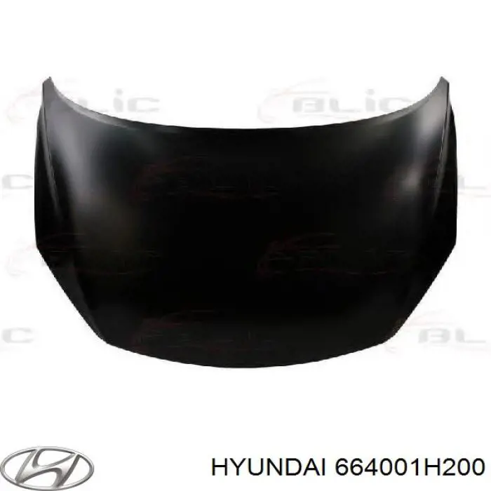 Maska silnika Hyundai/Kia 664001H200 cena, od 448,19 USD