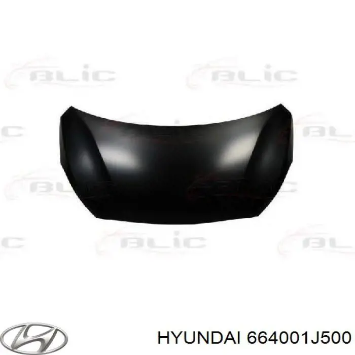 664001J500 Hyundai/Kia Maska silnika