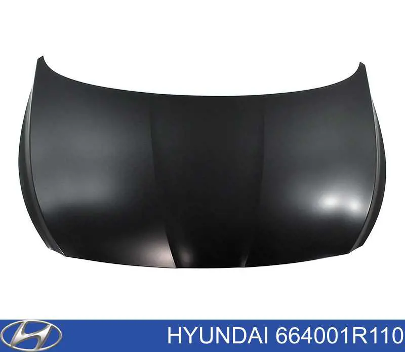 664001R110 Hyundai/Kia Maska silnika