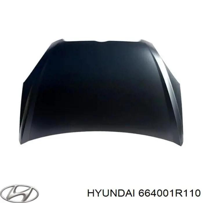 Do koszyka 664001R110 Hyundai/Kia Maska silnika