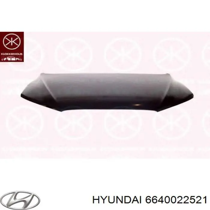 Maska silnika Hyundai/Kia 6640022521 cena, od 189,79 USD